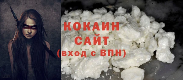 гидра Абаза